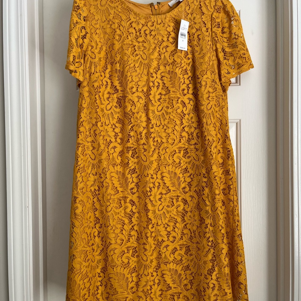 LOFT Marigold Lace Cocktail Dress NWT Size 8